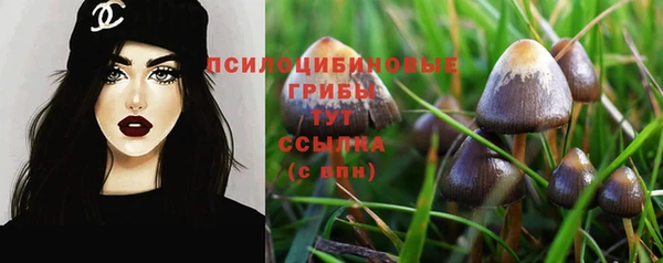 a pvp Алексеевка