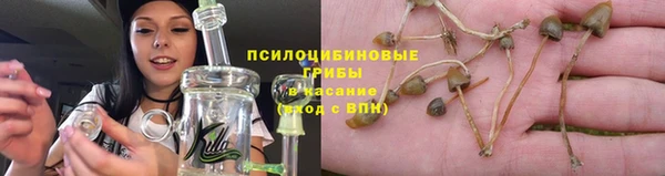 2c-b Алзамай