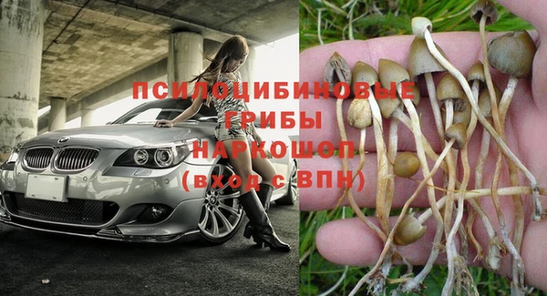 a pvp Алексеевка